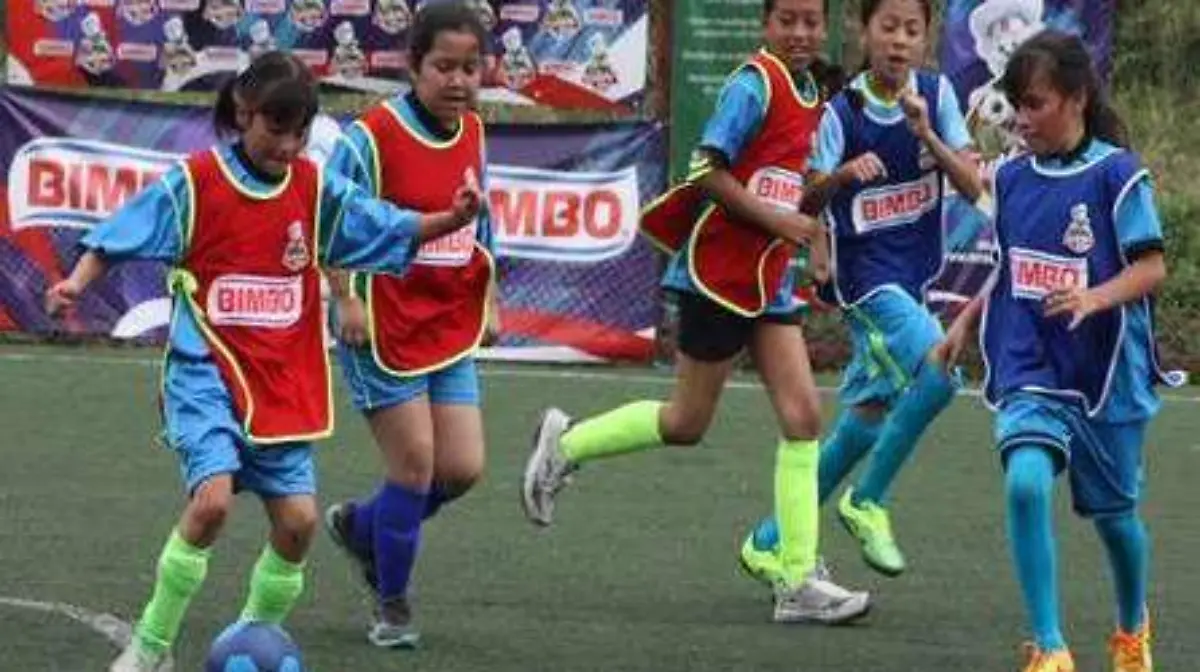 Para los infantes nacidos en 2008-2009, el torneo no tiene costoCortesía